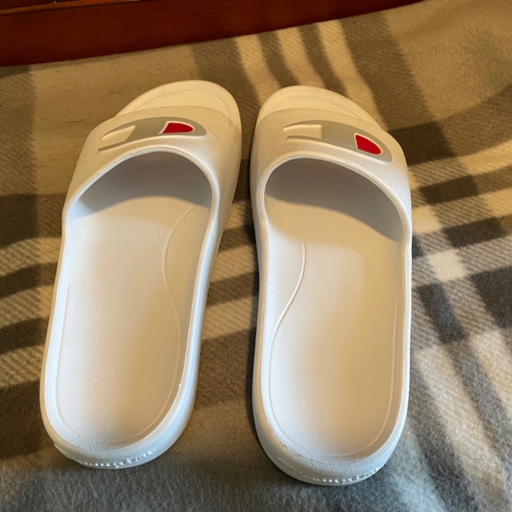 Champion slides - Picture 2 of 6